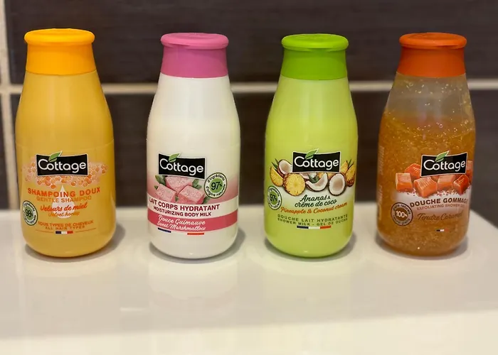 Appart. Baila, Proche De Bordeaux Et St Emilion Apartman *